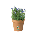 green basics pot de culture 17cm mild terra